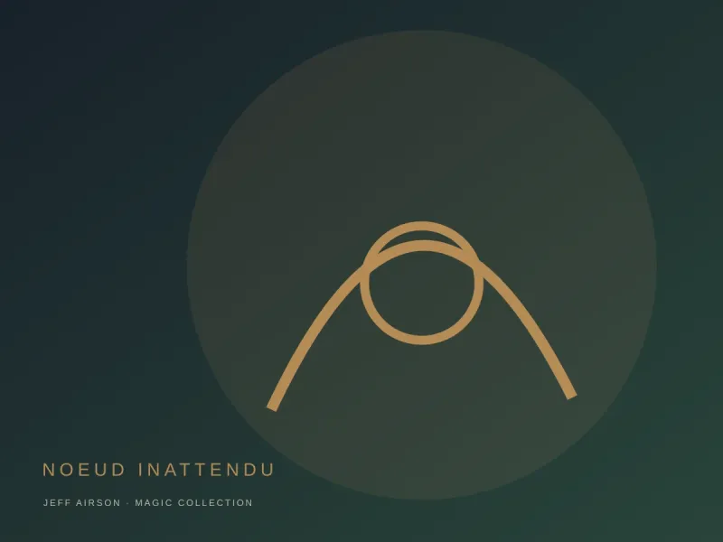 Photo du produit Le Nœud Inattendu
